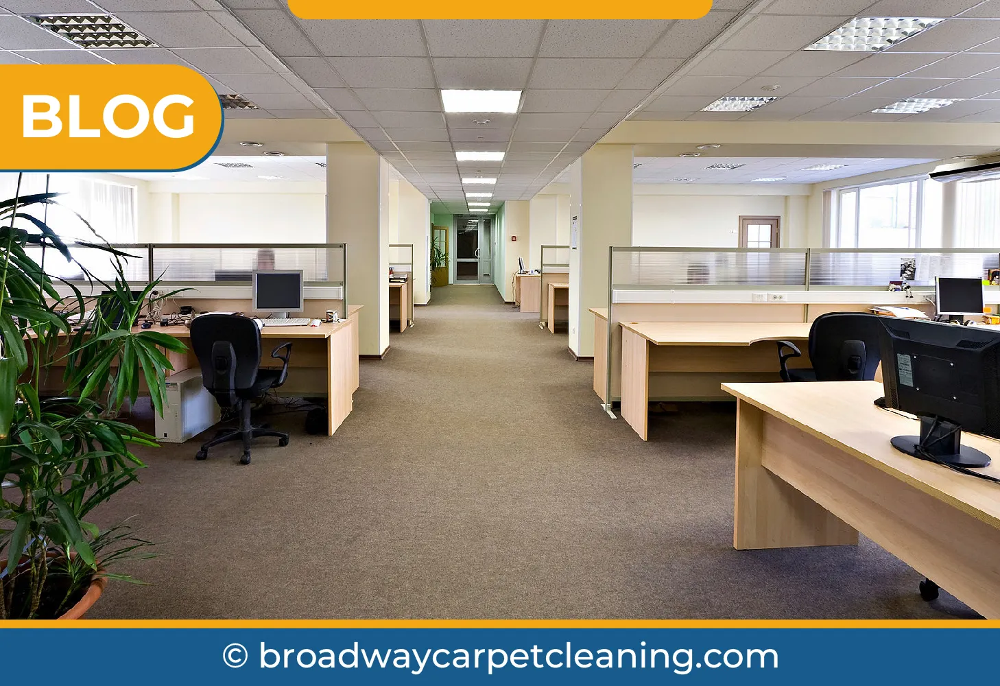 carpet cleaning in new york, carpet cleaning new york, carpet cleaners in new york, carpet cleaners in new york, commercial carpet cleaning, commercial carpet cleaning in new york, new york rug cleaners, rug cleaning services in new york, same day carpet cleaning, same day rug cleaning in new york