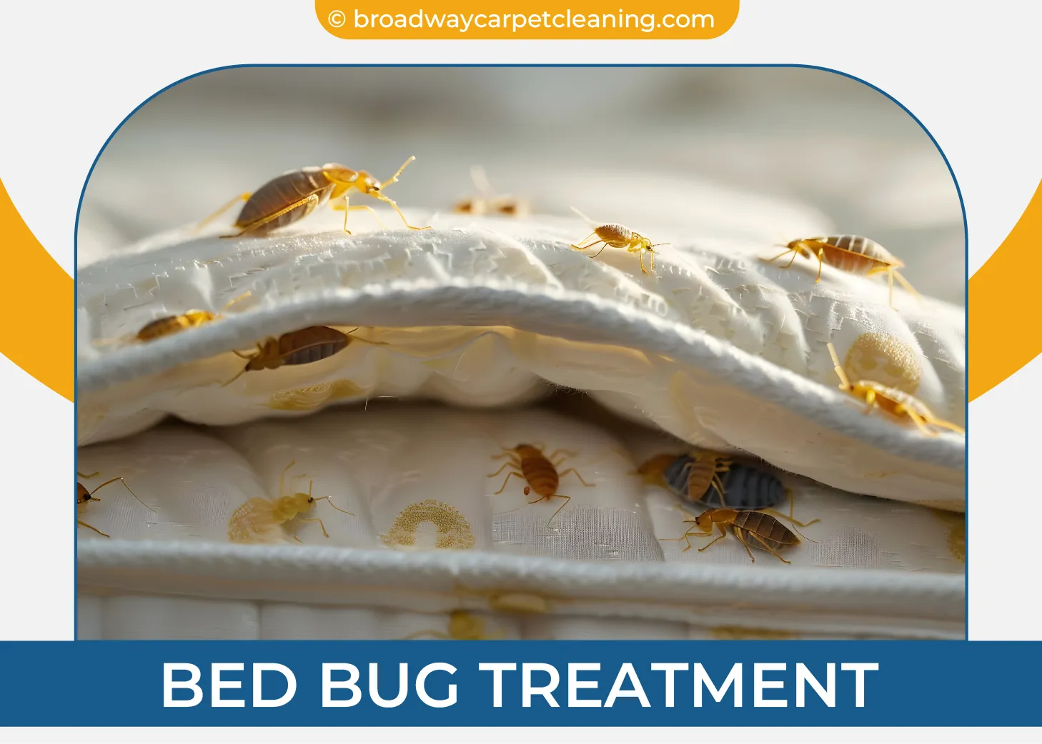 carpet cleaning in new york, carpet cleaning new york, carpet cleaners in new york, carpet cleaners in new york, commercial carpet cleaning, commercial carpet cleaning in new york, new york rug cleaners, rug cleaning services in new york, same day carpet cleaning, same day rug cleaning in new york